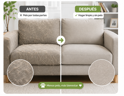 CLICK WORLD PET™ | Cepillo a vapor mascota
